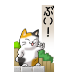 猫かわいい！その1（日常用）（個別スタンプ：18）