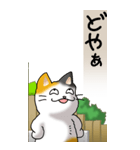 猫かわいい！その1（日常用）（個別スタンプ：20）