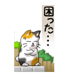 猫かわいい！その1（日常用）（個別スタンプ：23）