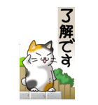 猫かわいい！その1（日常用）（個別スタンプ：31）