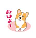 コーギー・ペンブロークの子犬スタンプ（個別スタンプ：1）