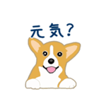 コーギー・ペンブロークの子犬スタンプ（個別スタンプ：7）