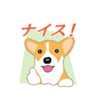 コーギー・ペンブロークの子犬スタンプ（個別スタンプ：10）