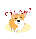 コーギー・ペンブロークの子犬スタンプ（個別スタンプ：22）