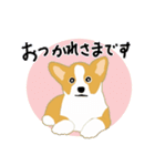 コーギー・ペンブロークの子犬スタンプ（個別スタンプ：27）