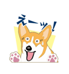 コーギー・ペンブロークの子犬スタンプ（個別スタンプ：36）