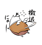 フェニックス小田にゃん（個別スタンプ：25）