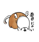 フェニックス小田にゃん（個別スタンプ：34）