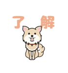梅脇まろん4（個別スタンプ：7）