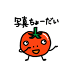 毎日使える★ミスタートトのスタンプ（個別スタンプ：33）