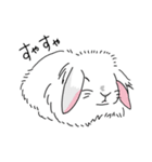 うさぎのはるちゃん。（個別スタンプ：5）