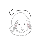 うさぎのはるちゃん。（個別スタンプ：12）