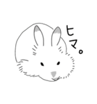 うさぎのはるちゃん。（個別スタンプ：13）