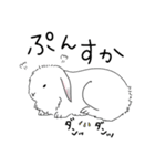 うさぎのはるちゃん。（個別スタンプ：15）