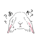 うさぎのはるちゃん。（個別スタンプ：16）