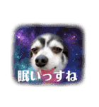 いち＆でち（個別スタンプ：7）