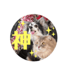 いち＆でち（個別スタンプ：12）