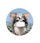 いち＆でち（個別スタンプ：15）