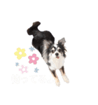 いち＆でち（個別スタンプ：17）