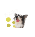 いち＆でち（個別スタンプ：18）