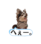 いち＆でち（個別スタンプ：20）