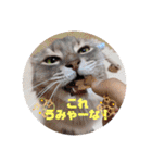 いち＆でち（個別スタンプ：22）