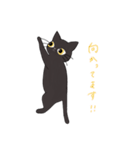 thriftの看板猫ゴマ（個別スタンプ：12）