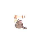 ねっこさんスタンプ（個別スタンプ：6）
