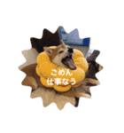 世田谷柴犬 ルル（個別スタンプ：2）