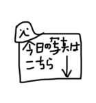 カンペあざらし（個別スタンプ：1）