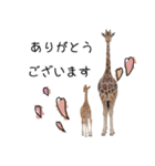 姫セン公式スタンプ 第2弾（個別スタンプ：2）