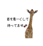 姫セン公式スタンプ 第2弾（個別スタンプ：3）