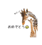 姫セン公式スタンプ 第2弾（個別スタンプ：10）