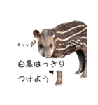 姫セン公式スタンプ 第2弾（個別スタンプ：24）