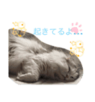 カフェオニさん（個別スタンプ：7）