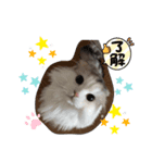 カフェオニさん（個別スタンプ：8）