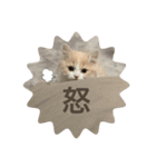 猫。ルキまる（個別スタンプ：9）