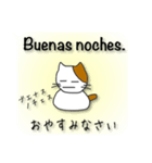 【日本語〜スペイン語】通訳する猫(修正版)（個別スタンプ：4）