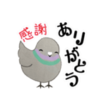 鳩ぽっぽさん（個別スタンプ：1）