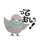 鳩ぽっぽさん（個別スタンプ：16）