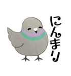 鳩ぽっぽさん（個別スタンプ：20）