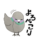 鳩ぽっぽさん（個別スタンプ：33）