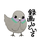 鳩ぽっぽさん（個別スタンプ：38）