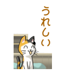 猫、ネコ、ねこかわいい！その1（日常用）（個別スタンプ：5）