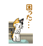 猫、ネコ、ねこかわいい！その1（日常用）（個別スタンプ：23）