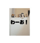 TATATVスタンプ2（個別スタンプ：12）