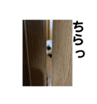 シュロンヌとエリコ（個別スタンプ：8）