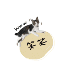 ♡ぷりかる様2（個別スタンプ：7）