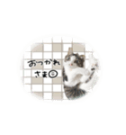 ♡ぷりかる様2（個別スタンプ：8）