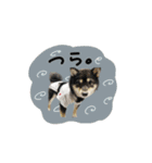 ♡ぷりかる様2（個別スタンプ：11）